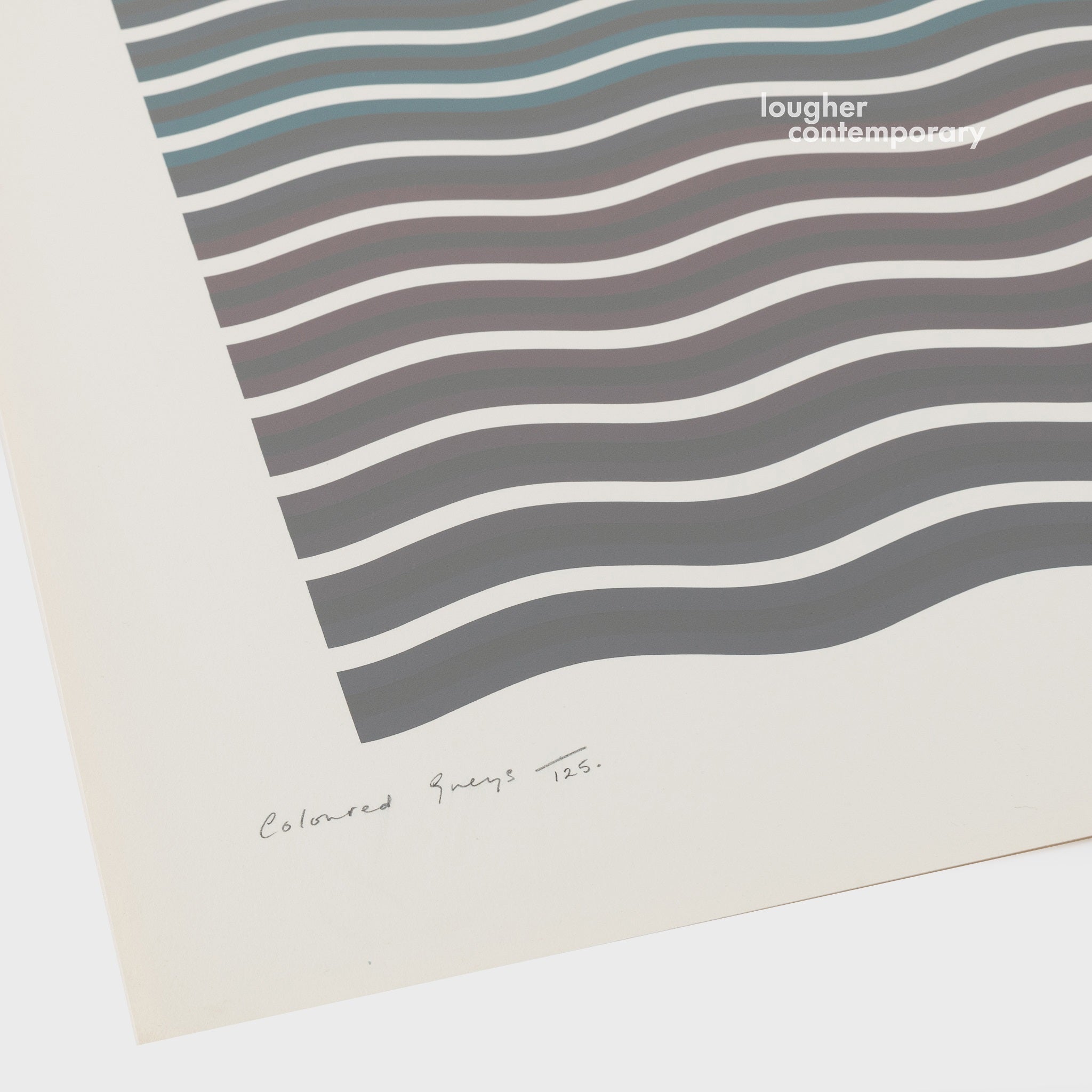 Bridget Riley, Coloured Greys (2), 1972 For Sale | Lougher Contemporary 
