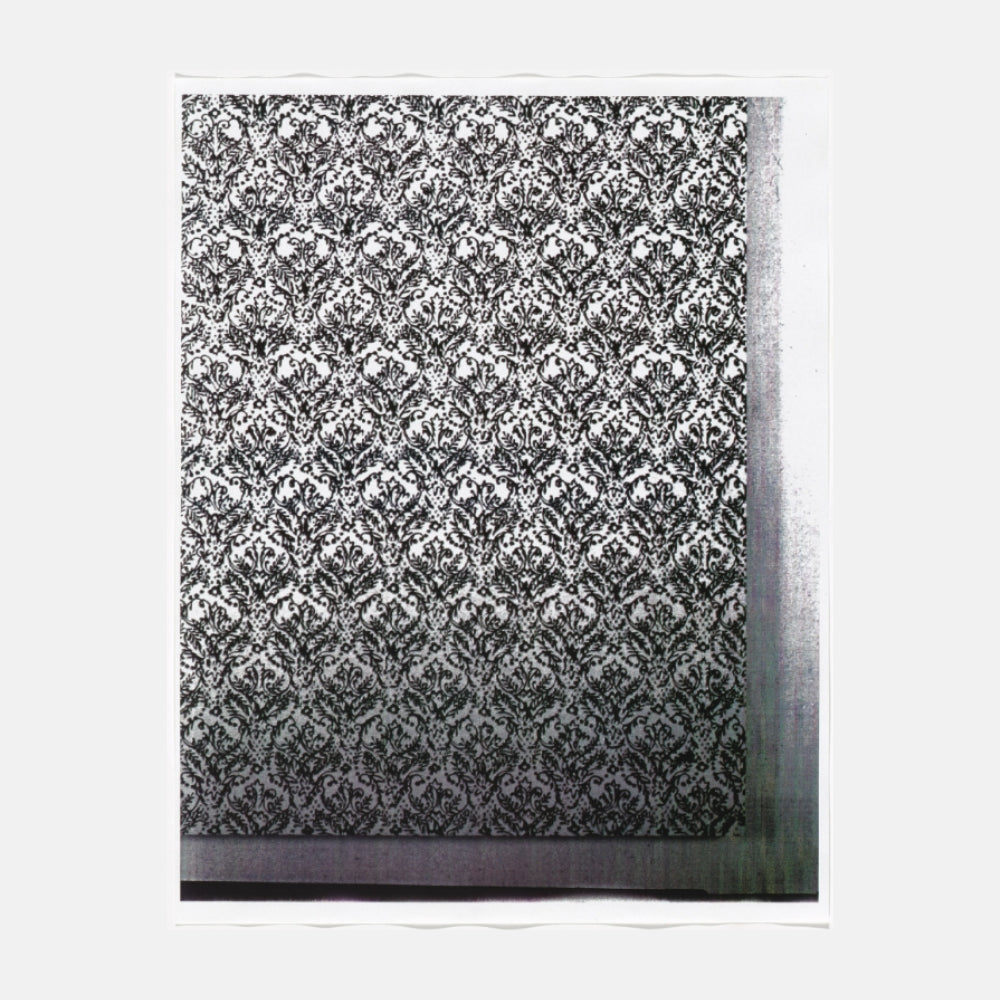 Christopher Wool, Untitled (Cats in Bag), 1990