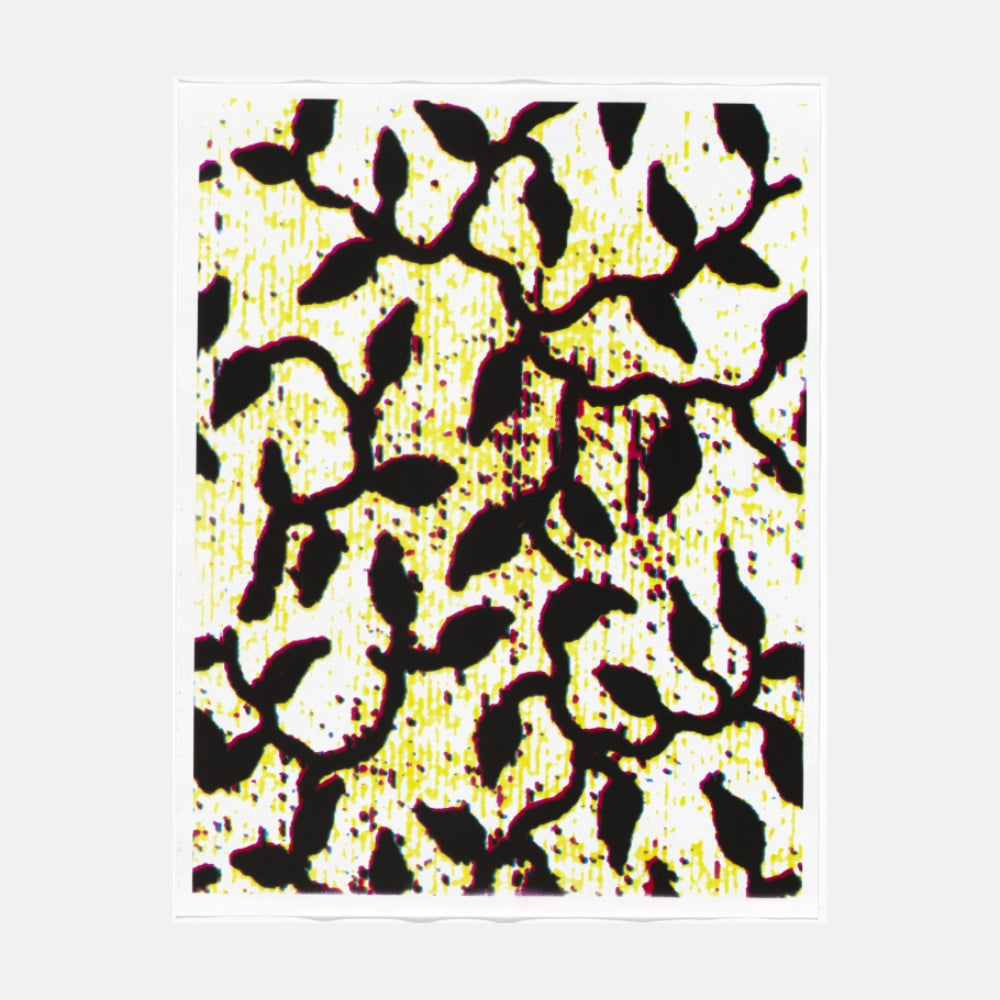 Christopher Wool, Untitled (Cats in Bag), 1990