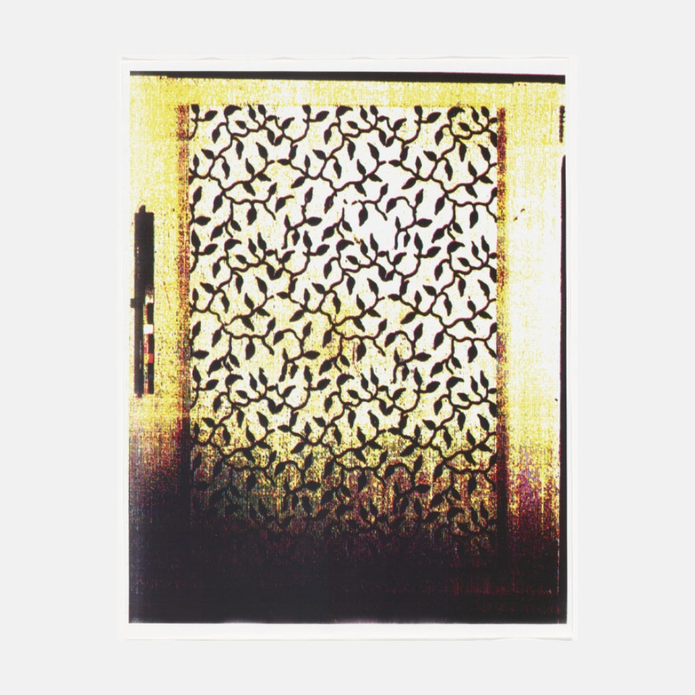 Christopher Wool, Untitled (Cats in Bag), 1990