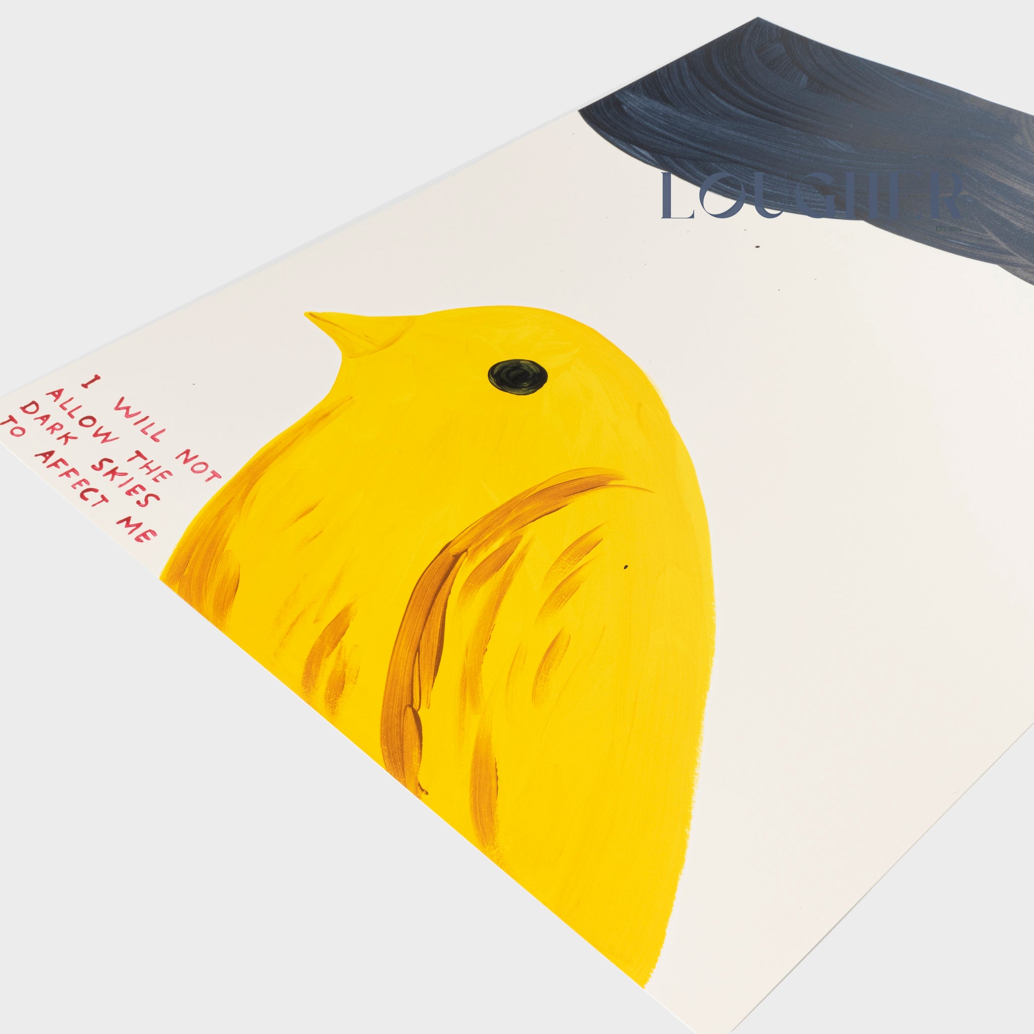 David Shrigley, I Will Not Allow The Dark Skies To Affect Me, 2025 For Sale | Lougher Contemporary