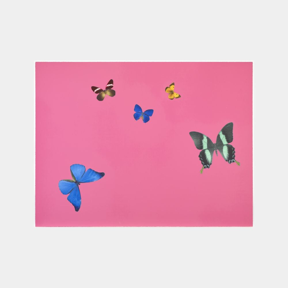 Damien Hirst, Be Considerate (from Lessons in Love), 2018 For Sale | Lougher Contemporary 