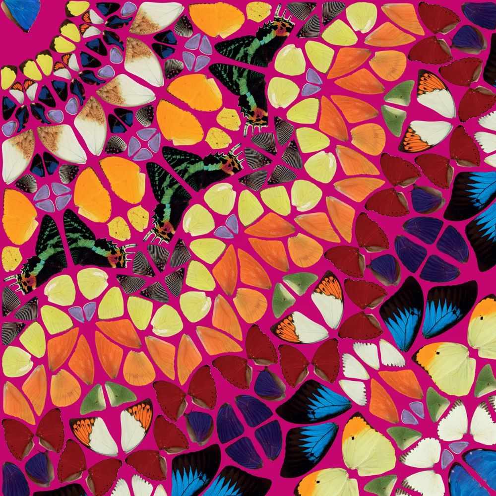 Damien Hirst, H18-1 Harlequin (from the Kaleidoscopes), 2024 For Sale | Lougher Contemporary