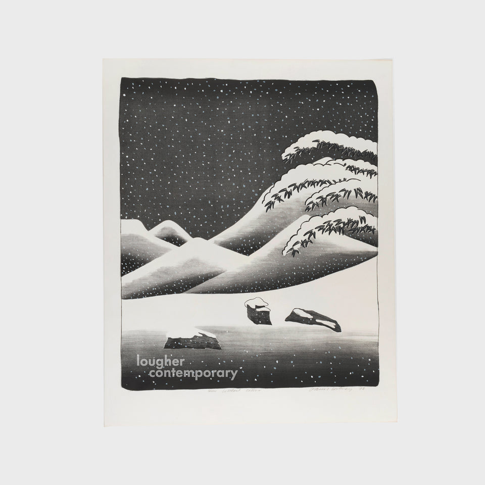 David Hockney, Snow Without Colour, 1973 For Sale - Lougher Contemporary