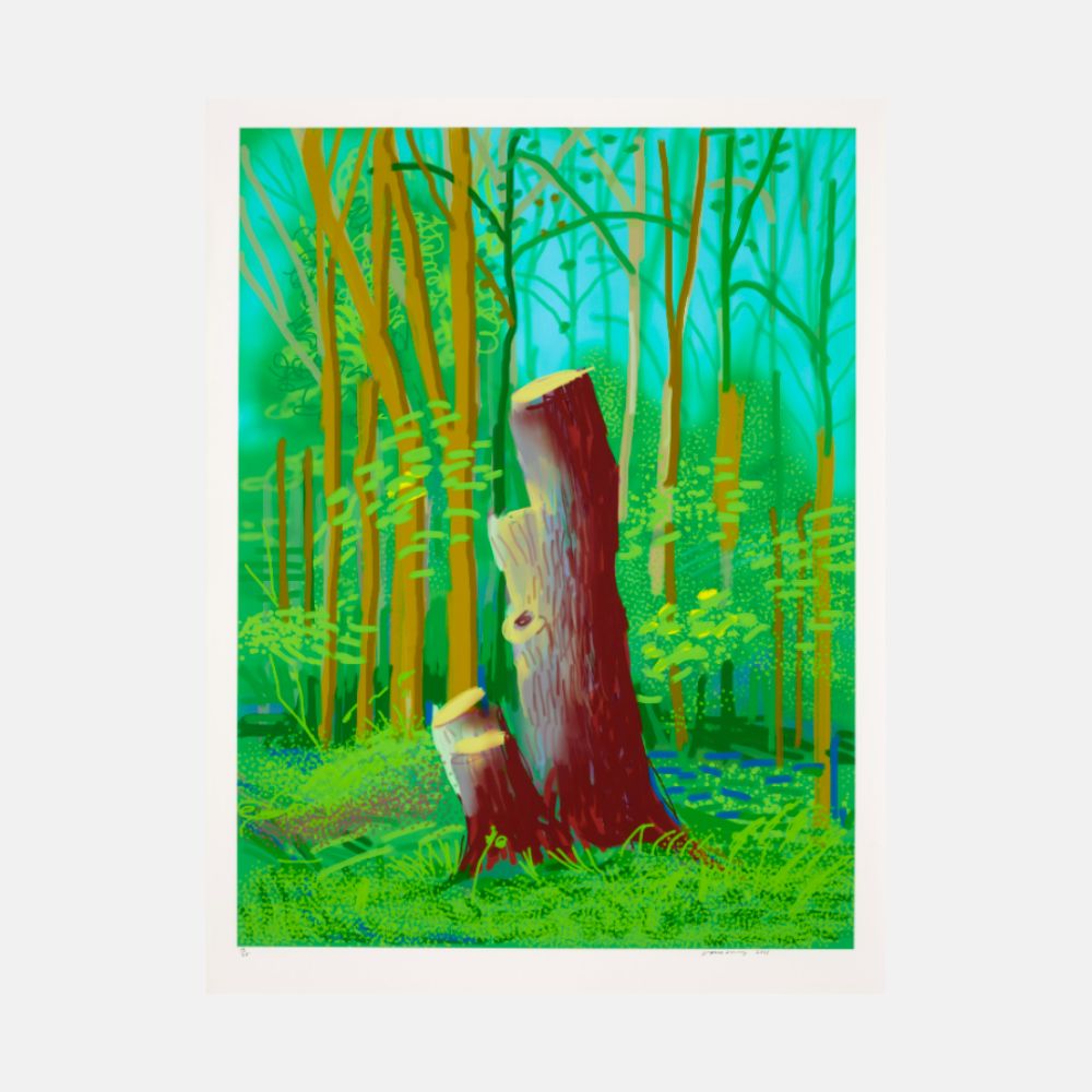 David Hockney, The Arrival of Spring in Woldgate, East Yorkshire in 2011 - 24 April, 2011