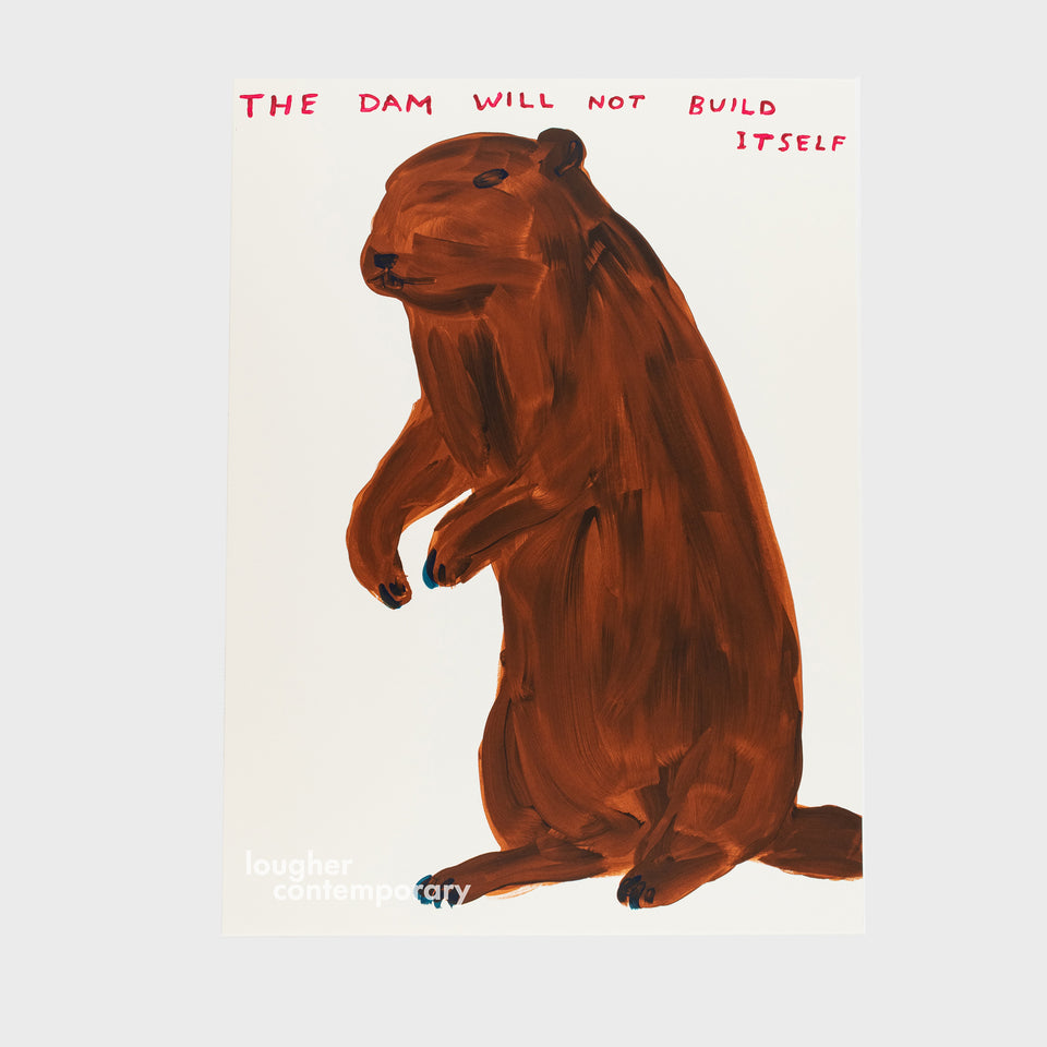 David Shrigley, The Dam Will Not Build Itself, 2023 For Sale - Lougher Contemporary