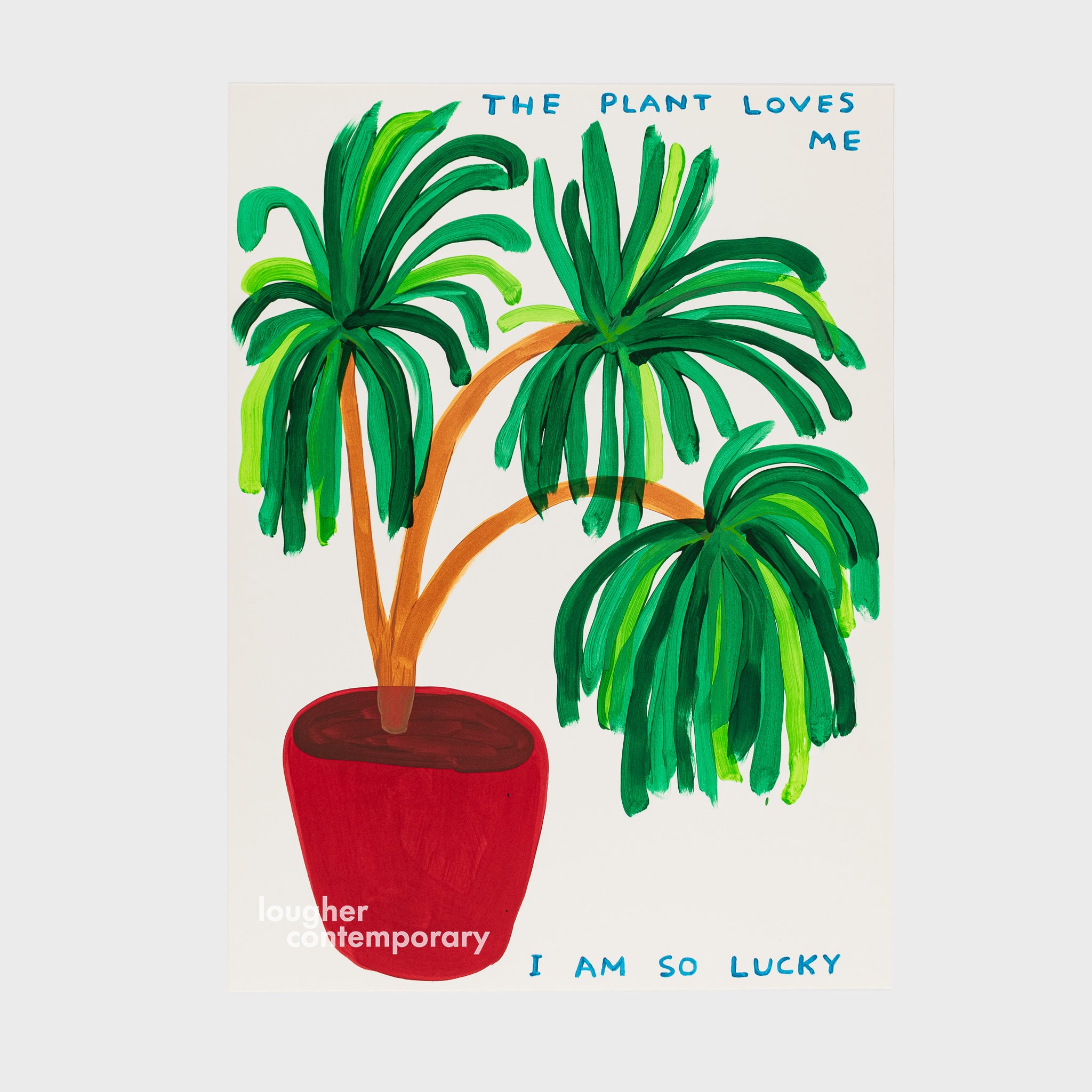 David Shrigley, The Plant Loves Me I Am So Lucky, 2023 For Sale - Lougher Contemporary