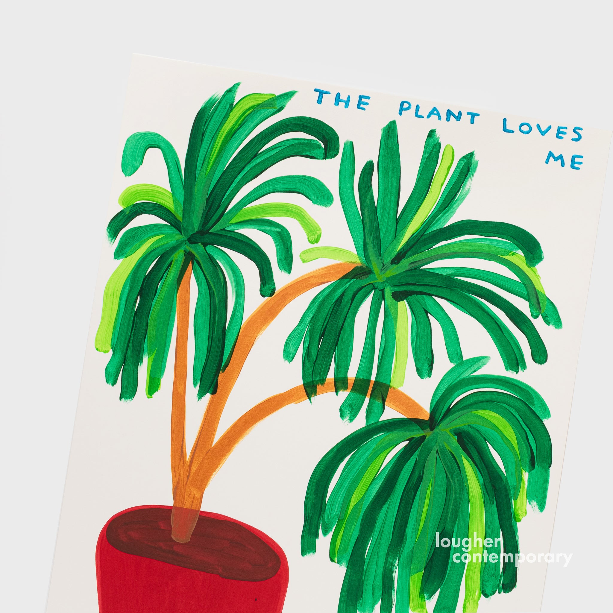 David Shrigley, The Plant Loves Me I Am So Lucky, 2023 For Sale - Lougher Contemporary