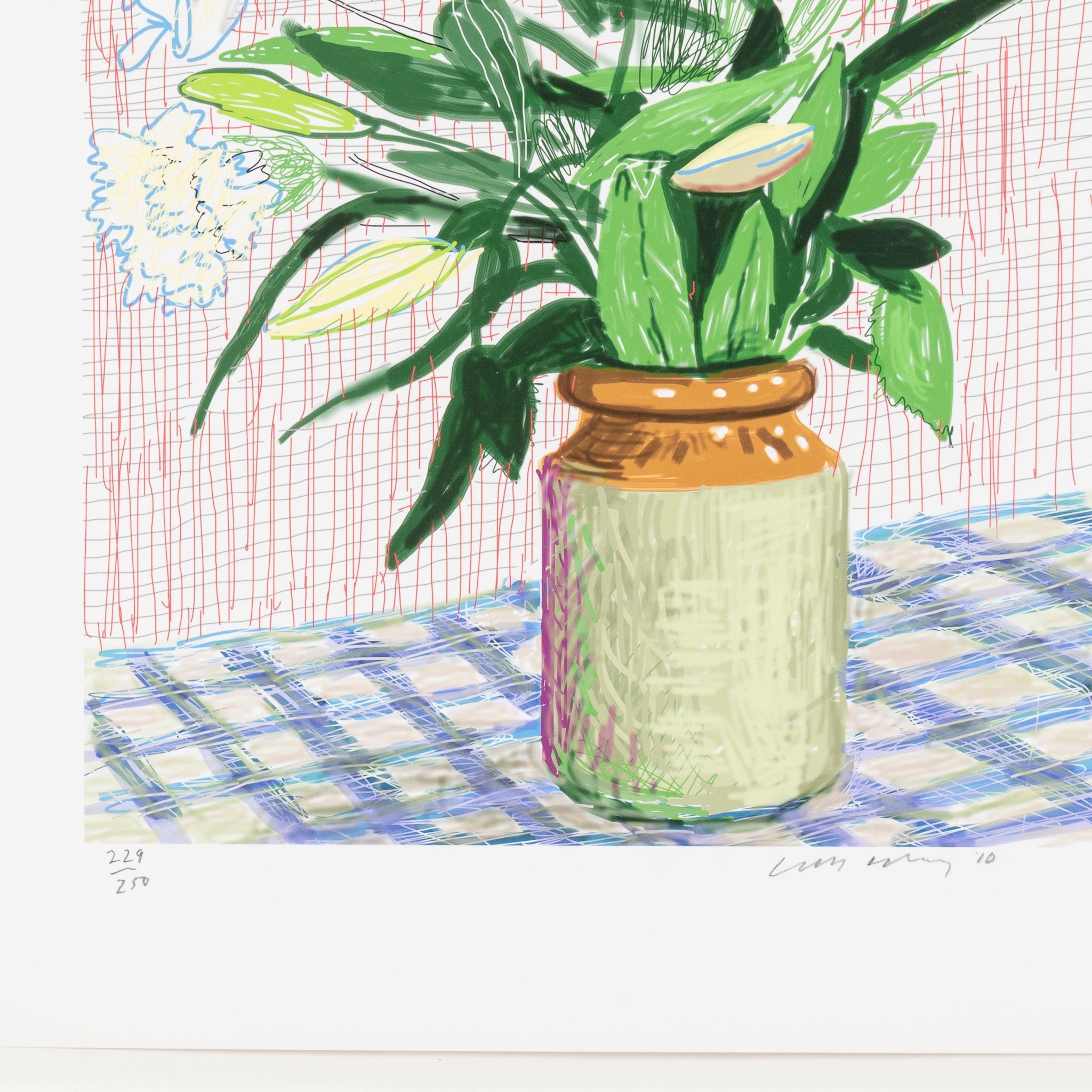 David Hockney limited edition print ready for professional valuation