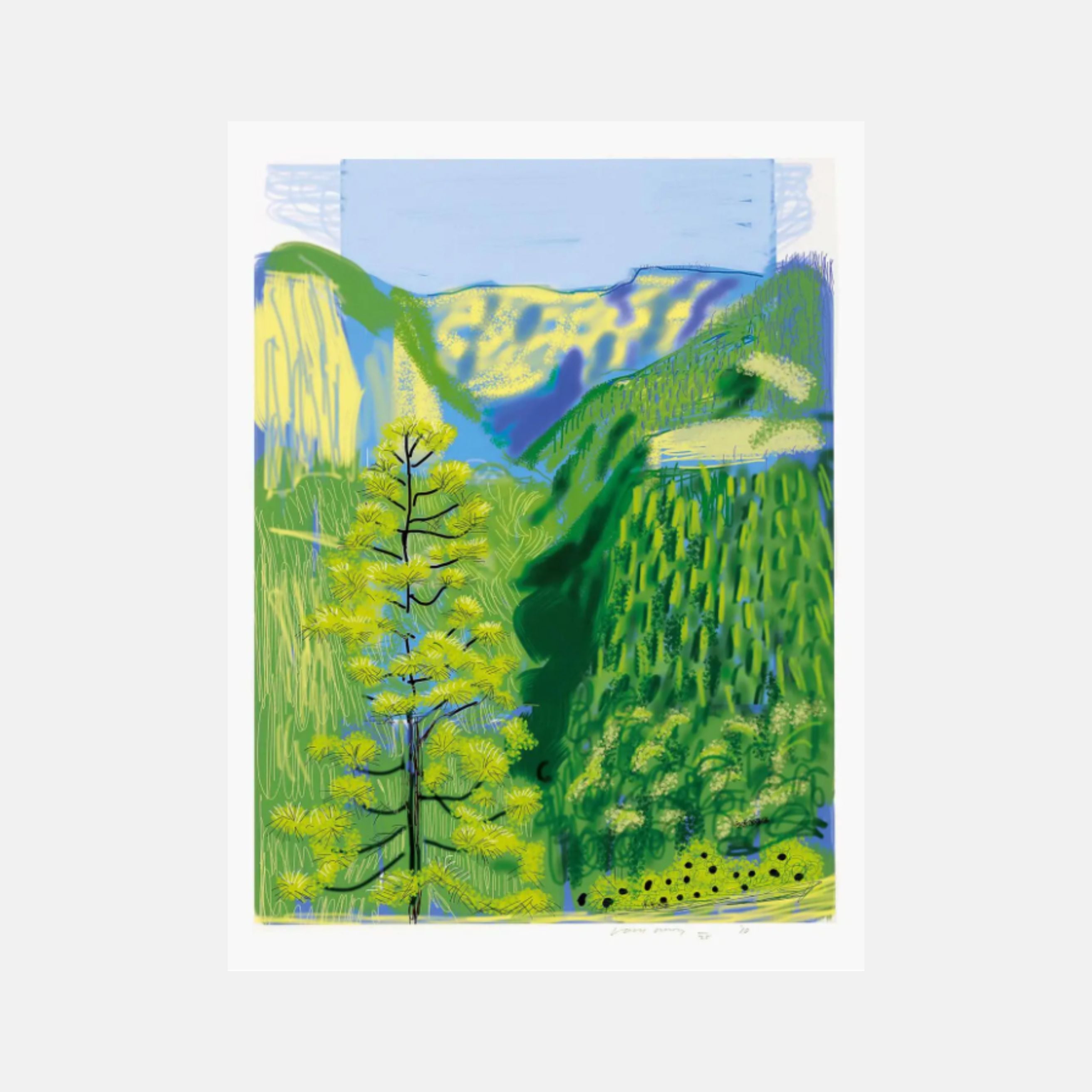 Yosemite National Park digital artwork by David Hockney iPad drawing