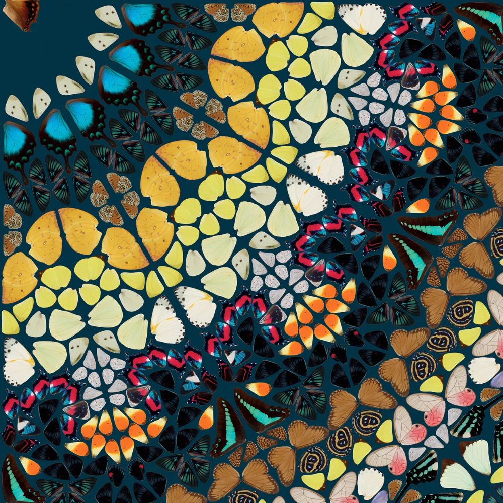 Damien Hirst, H18-3 Psychedelic (from the Kaleidoscopes), 2024 For Sale | Lougher Contemporary 