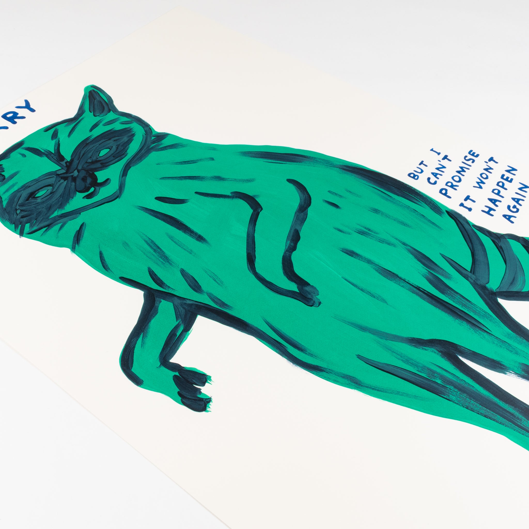 David Shrigley, I'm Sorry I Can't Promise It Won't Happen Again, 2021 For Sale | Lougher Contemporary