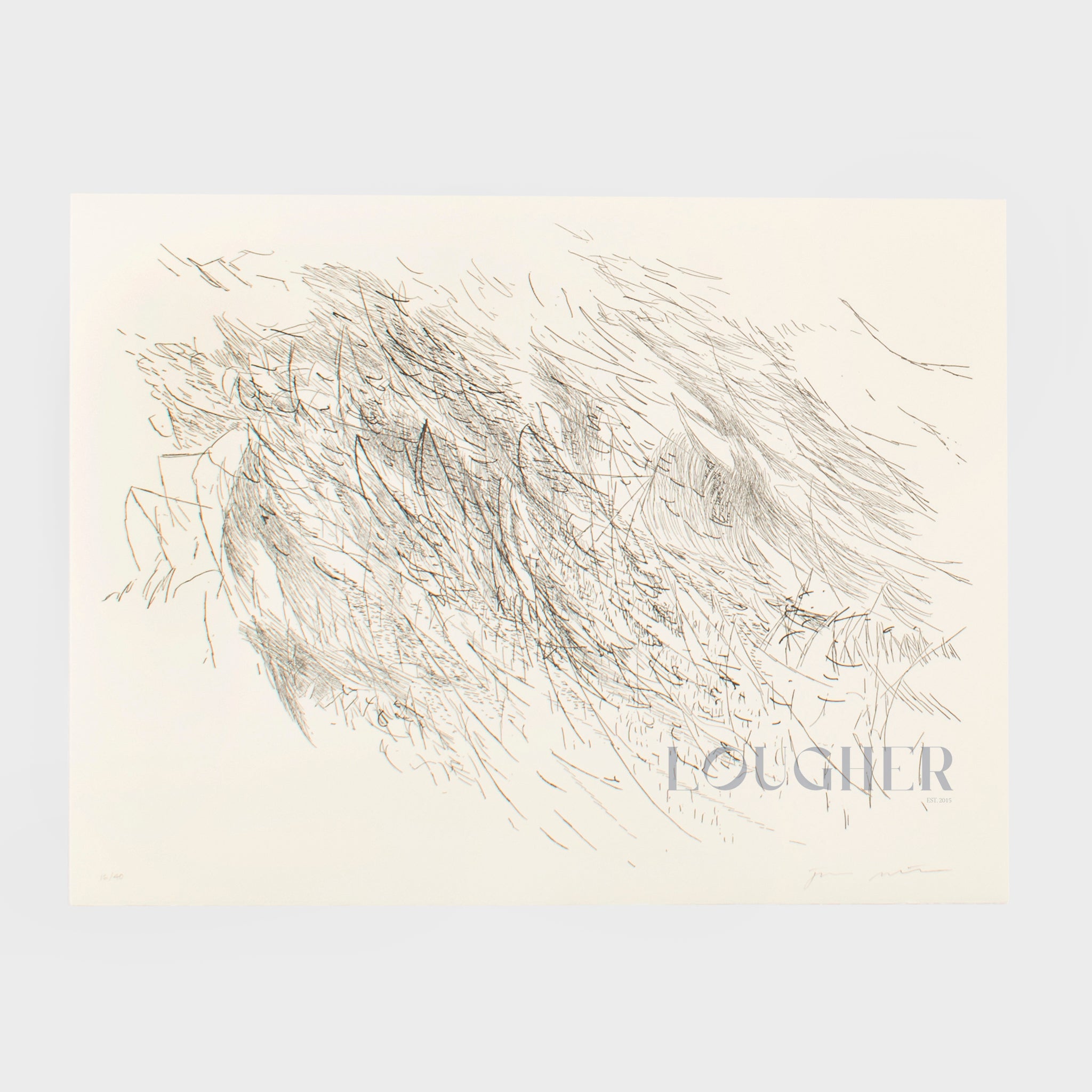 Julie Mehretu, Sapphic Strophe 2 (from Sapphic Strophes: A Suite of Four Prints), 2011 For Sale | Lougher Contemporary 