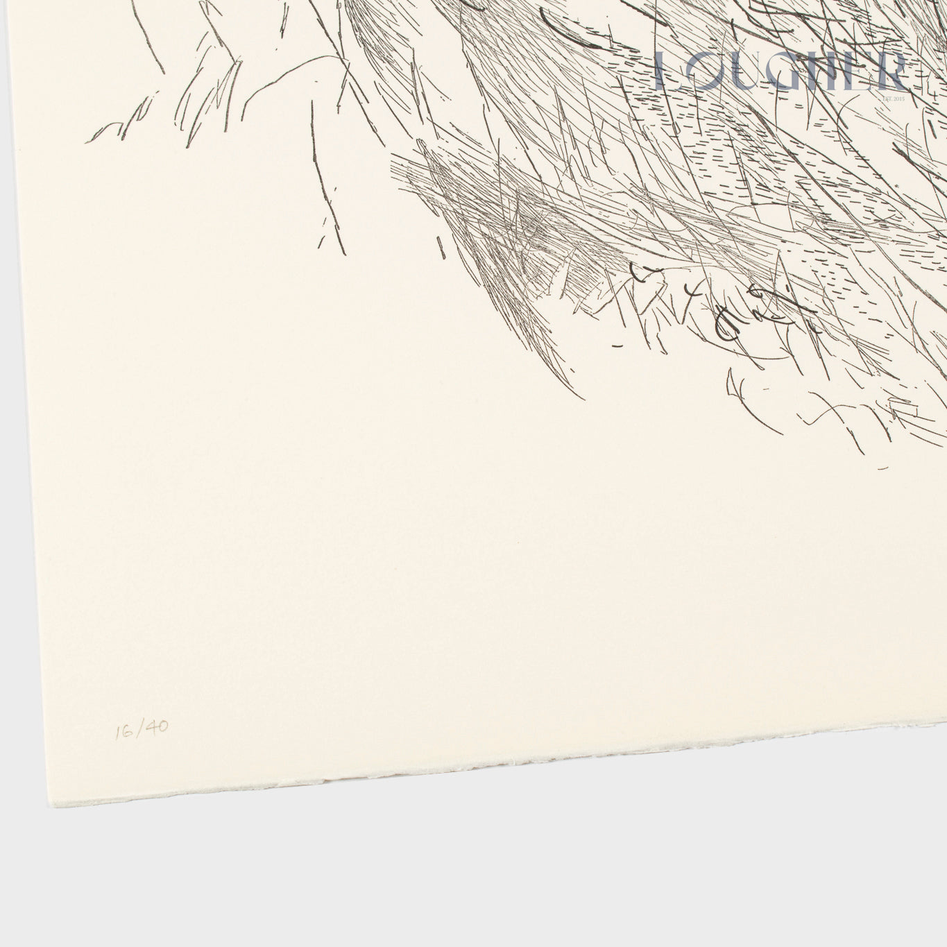 Julie Mehretu, Sapphic Strophe 2 (from Sapphic Strophes: A Suite of Four Prints), 2011 For Sale | Lougher Contemporary 