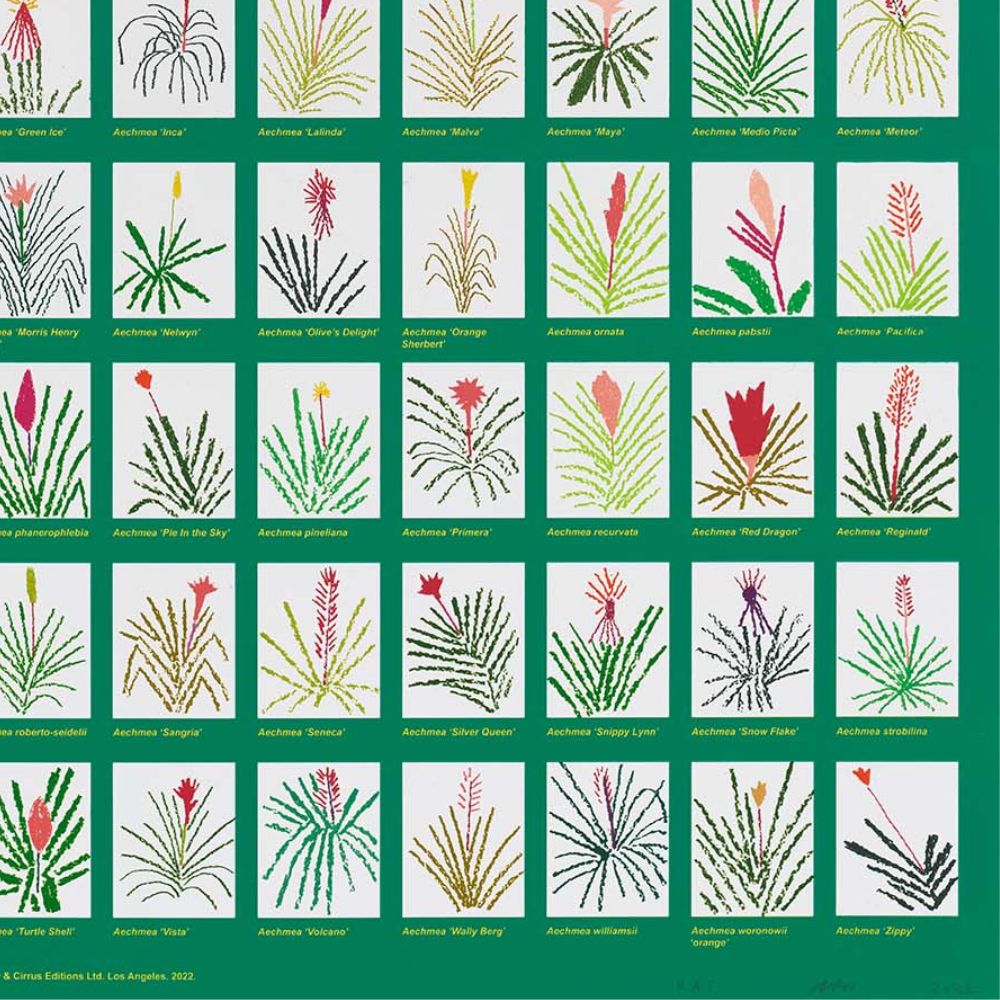 Jonas Wood, Aechmea Bromeliad Poster, 2022 For Sale | Lougher Contemporary