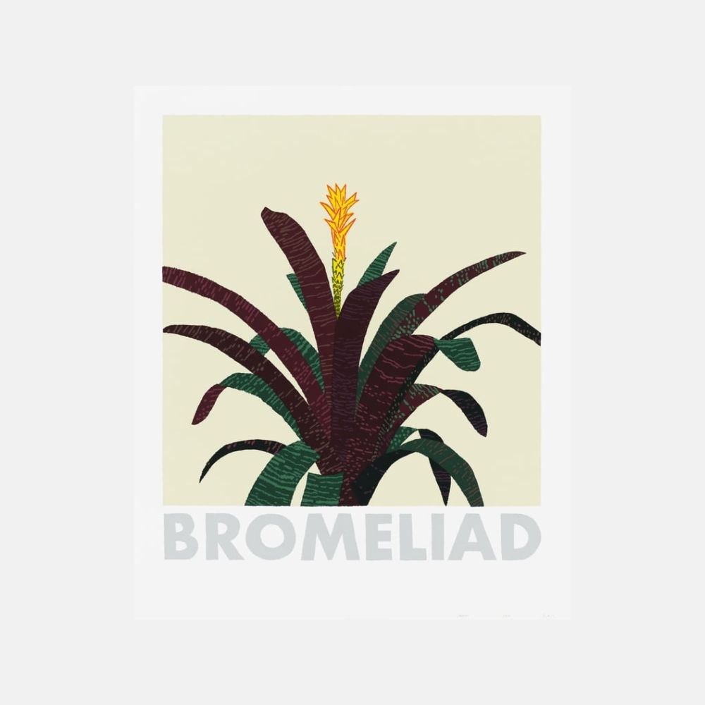 Jonas Wood, Bromeliad, 2020