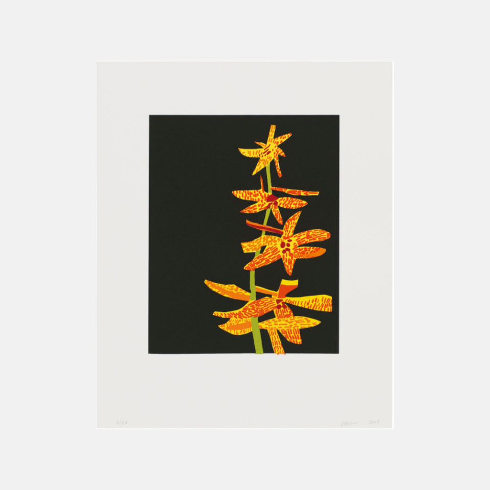 Jonas Wood, Untitled (Orchid I), 2015 For Sale - Lougher Contemporary