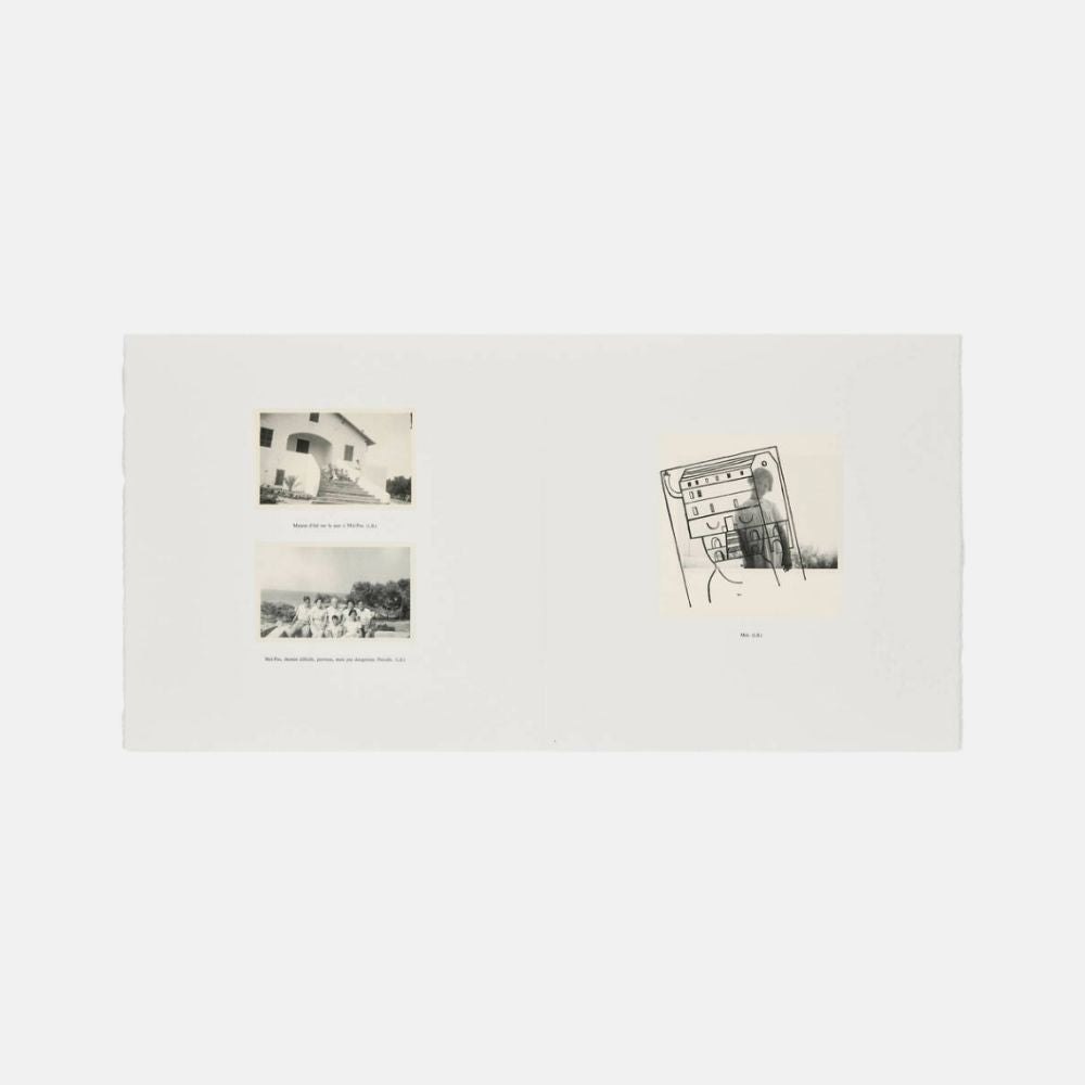 Limited edition Louise Bourgeois Metamorfosis print from MoMA, 1999, featuring abstract, organic shapes in muted tones.
