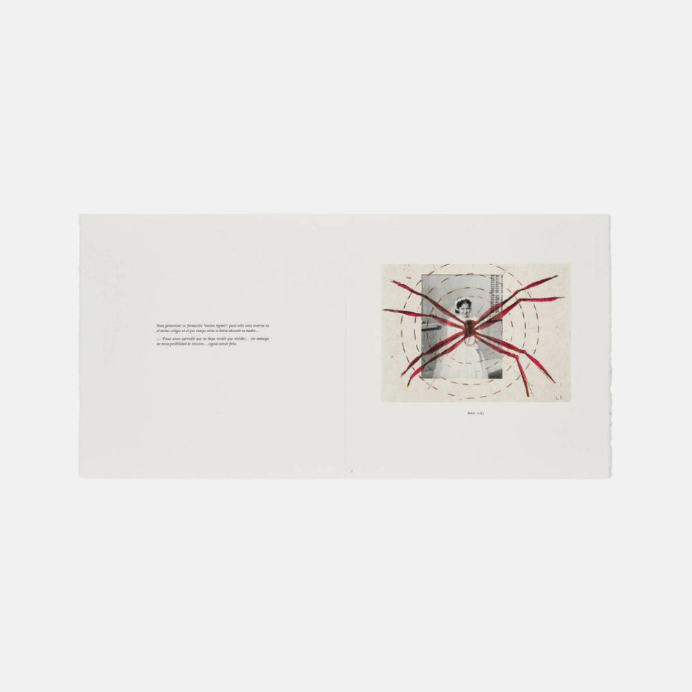 Limited edition Louise Bourgeois Metamorfosis print from MoMA, 1999, featuring abstract, organic forms in muted tones.