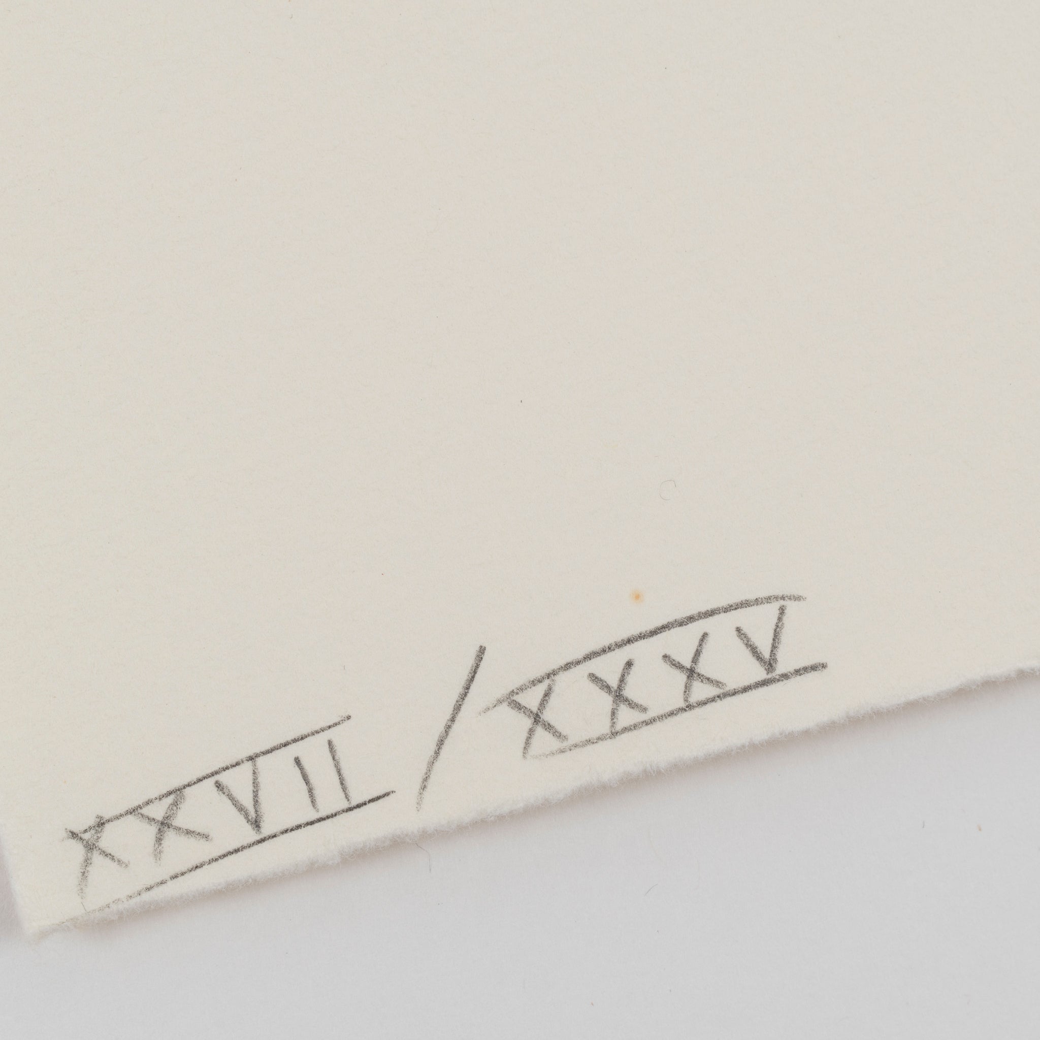 Detail of Louise Bourgeois’ Ode à Ma Mère, 1995, showing the intricate drypoint marks and imagery associated with motherhood and the spider.