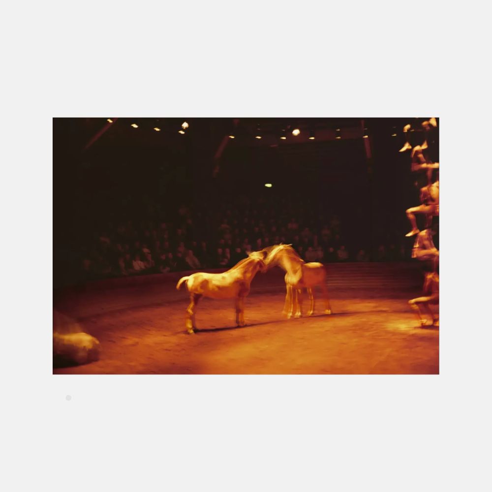 Nan Goldin, Zingaro Equestrian Theater, Paris, 2004, 2025 For Sale | Lougher Contemporary