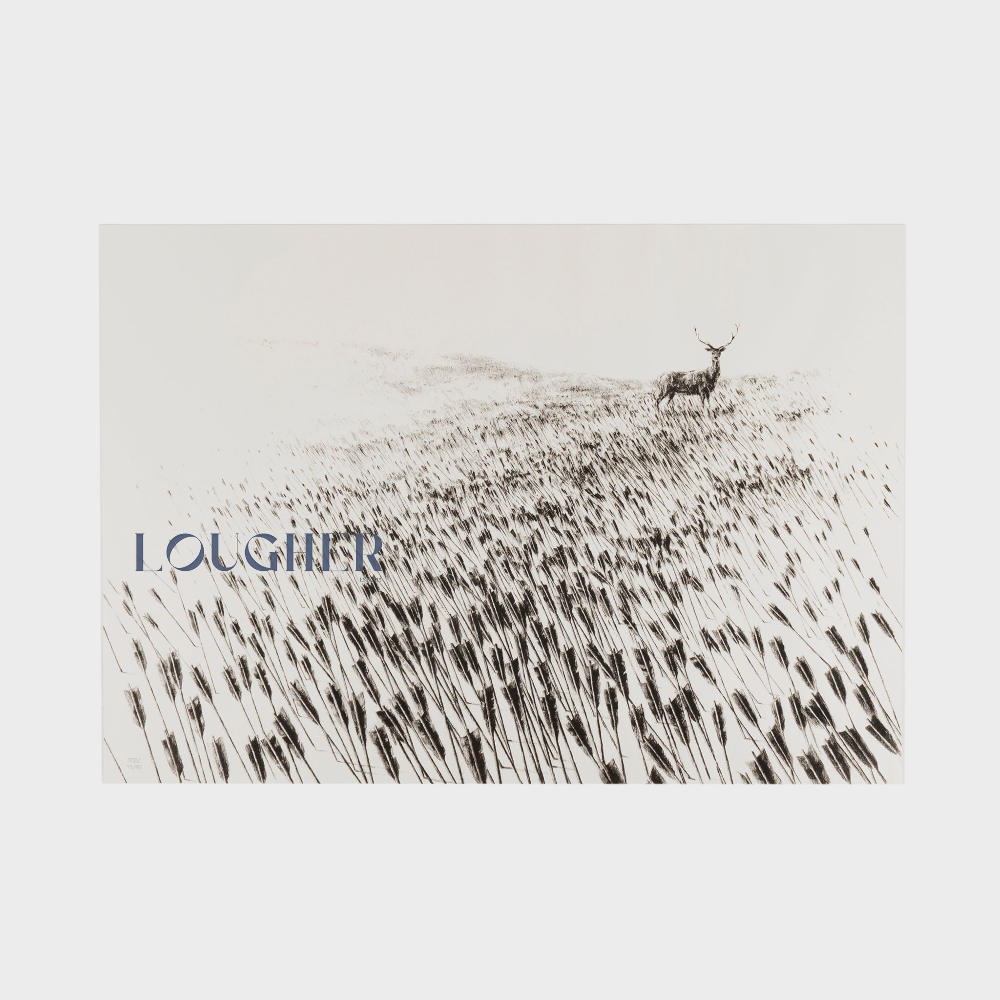 Pejac, Meadow, 2015