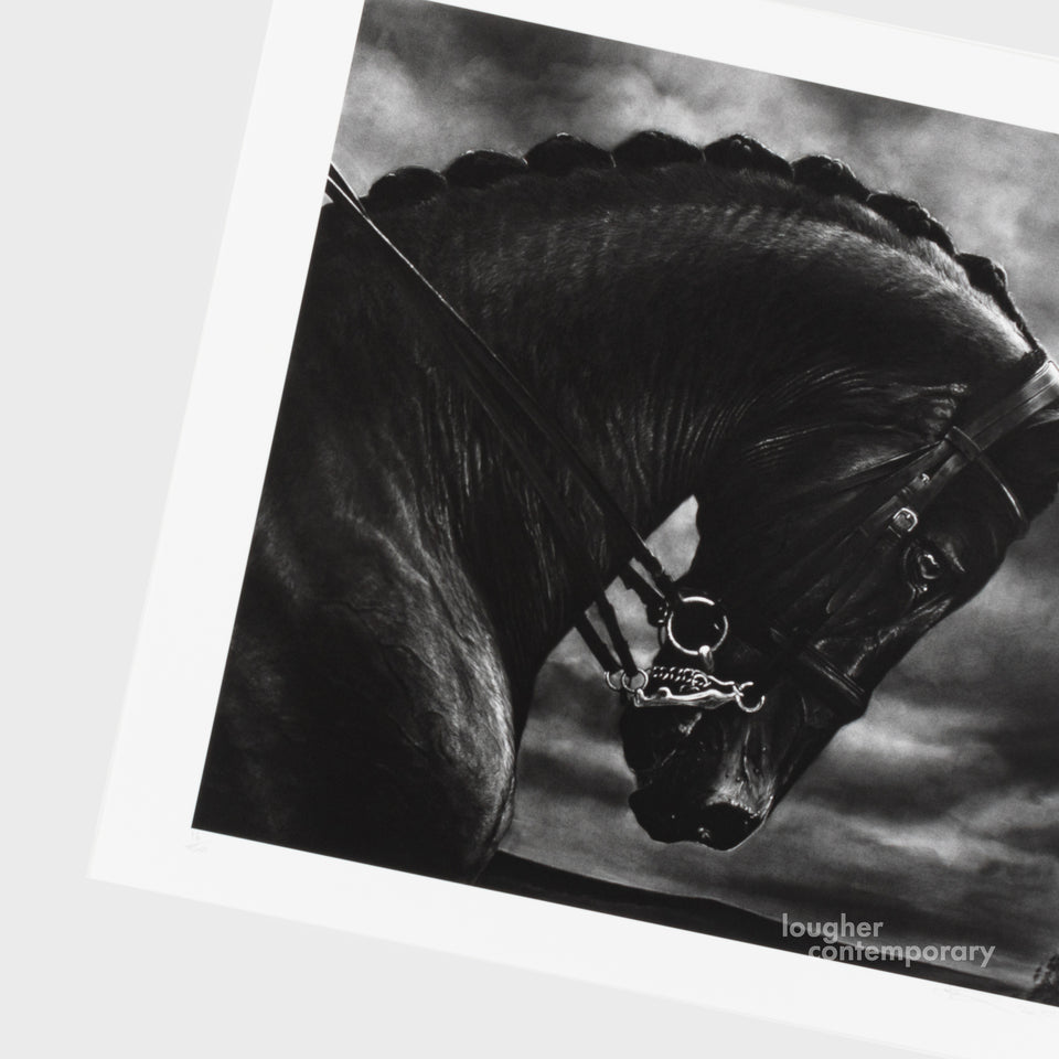 Robert Longo, Untitled (Bucephalus), 2017 For Sale - Lougher Contemporary