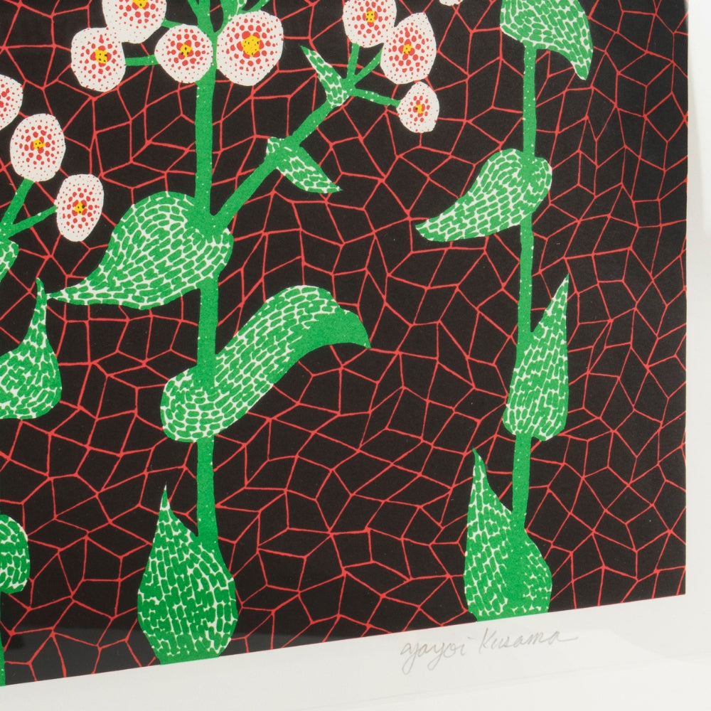 Selection of contemporary prints available through Lougher Contemporary