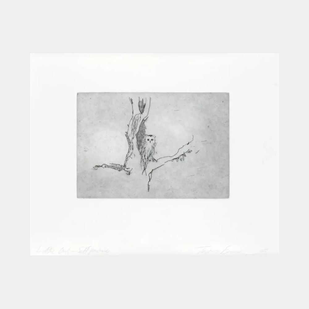 Tracey Emin, Little Owl (Self Portrait), 2005 For Sale | Lougher Contemporary