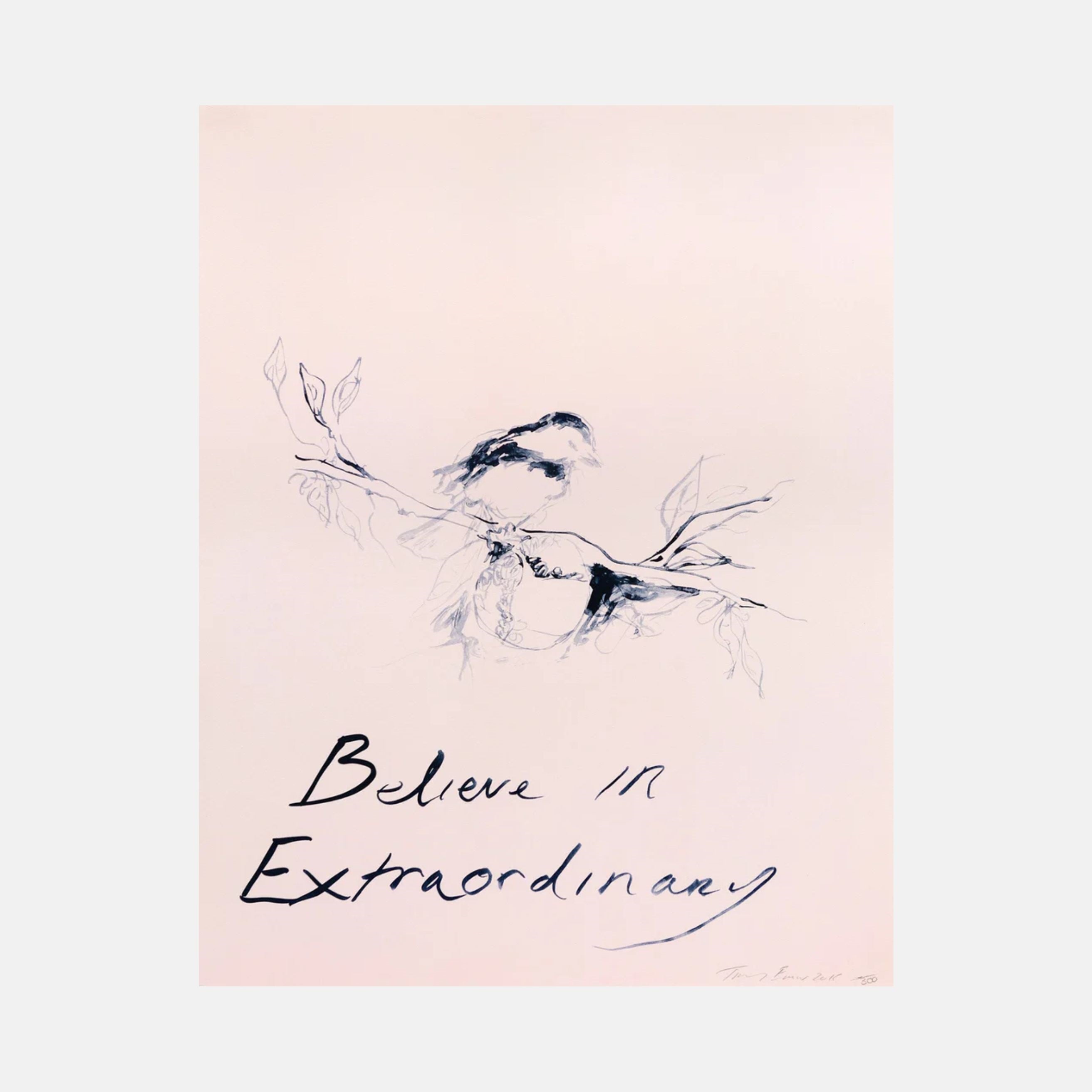 Tracey Emin, Believe in Extraordinary, 2015 For Sale | Lougher Contemporary
