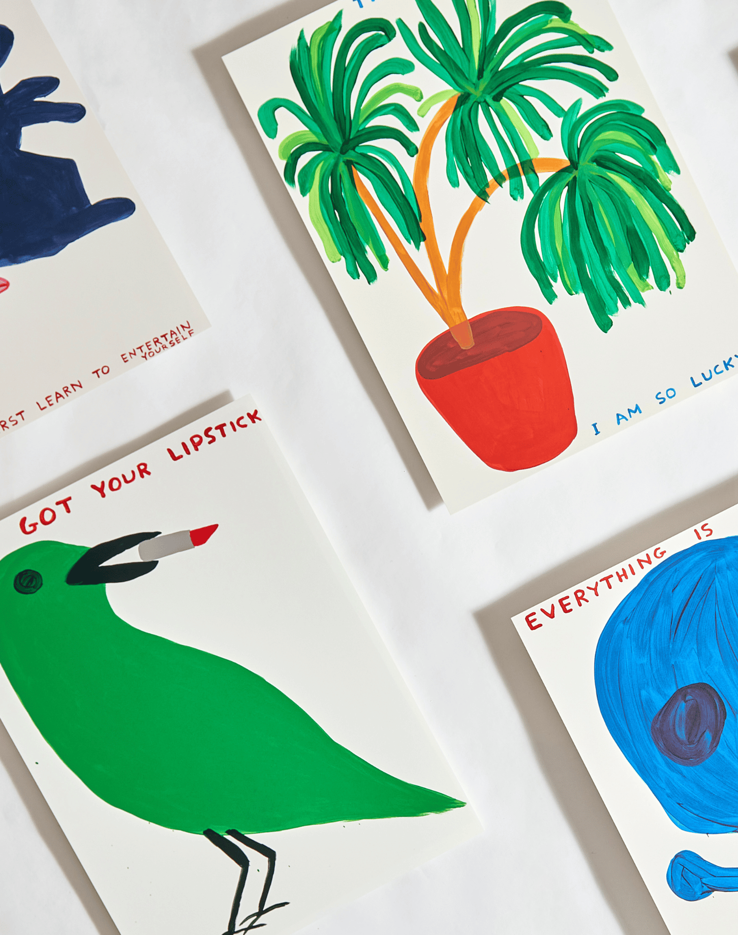 David Shrigley Prints laid out, green bird, blue skull, green plant