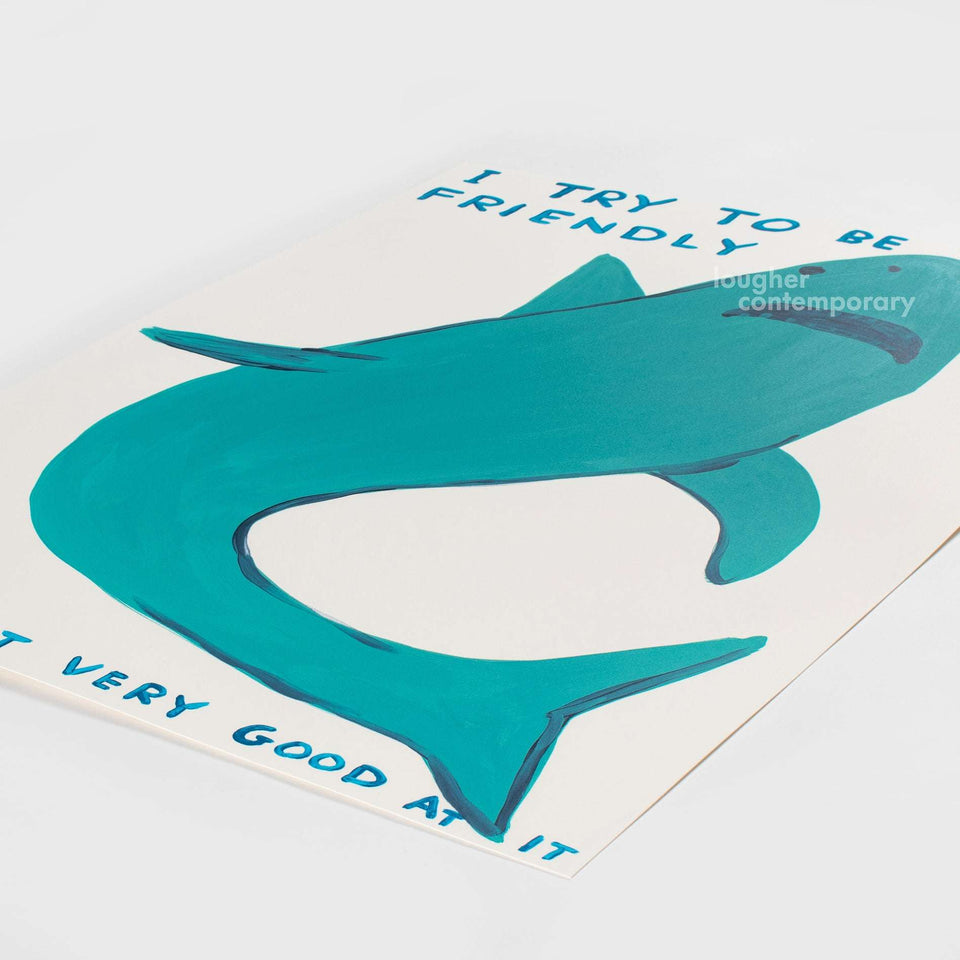 David Shrigley, I Try To Be Friendly, 2022 For Sale - Lougher Contemporary