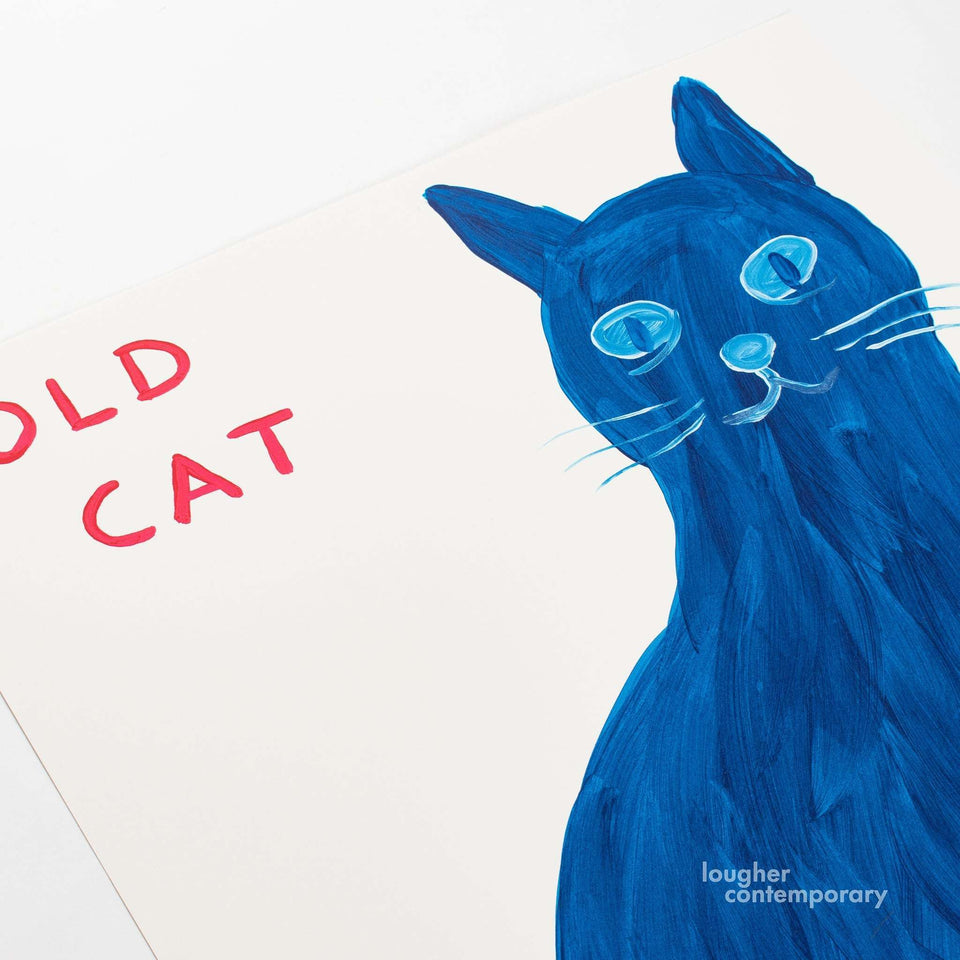 David Shrigley, Old Cat, 2022 For Sale - Lougher Contemporary