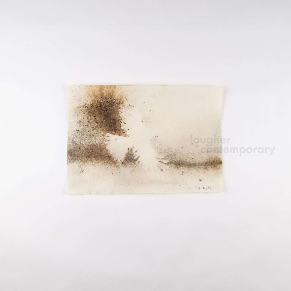 Cai Guo-Qiang, Murmuration Box, 2019 For Sale - Lougher Contemporary