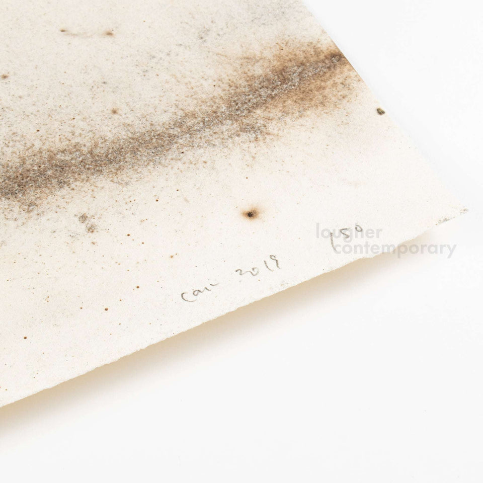 Cai Guo-Qiang, Murmuration Box, 2019 For Sale - Lougher Contemporary