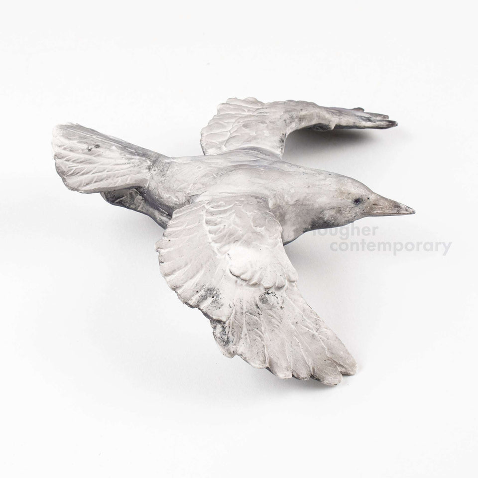 Cai Guo-Qiang, Murmuration Box, 2019 For Sale - Lougher Contemporary