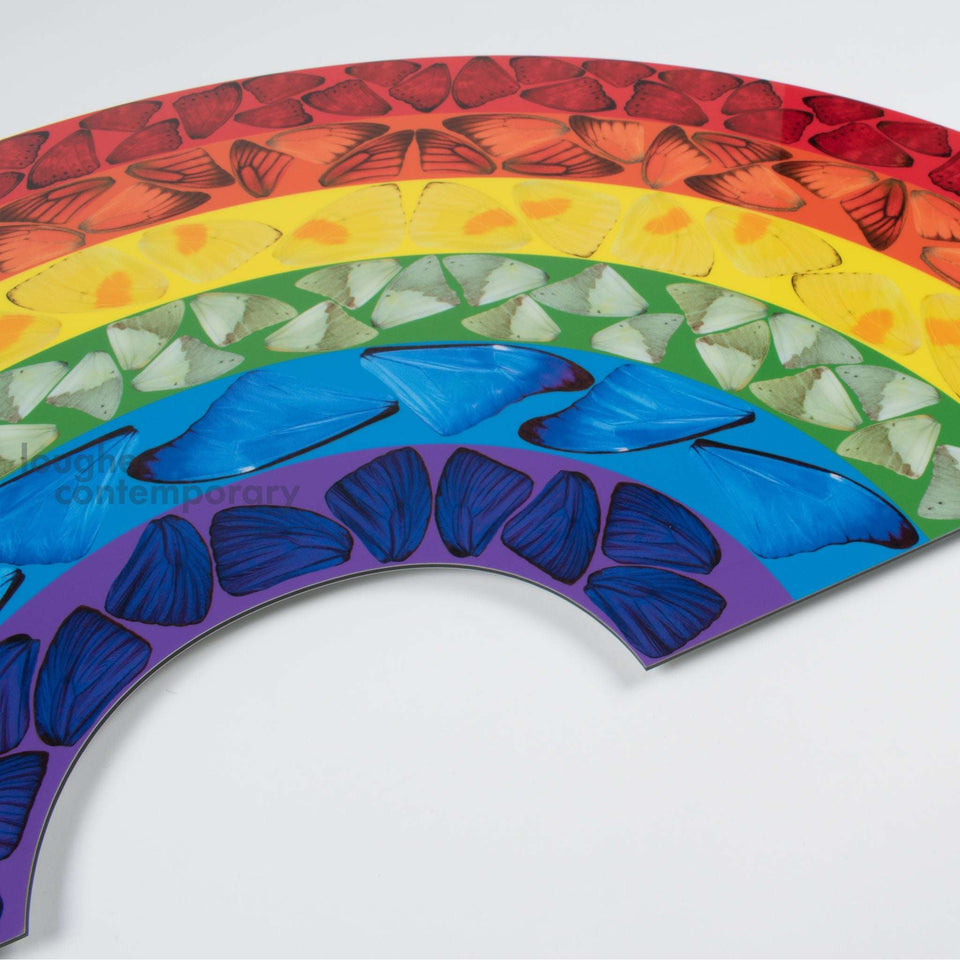 Damien Hirst, H7-1 Butterfly Rainbow (Large), 2020 For Sale - Lougher Contemporary