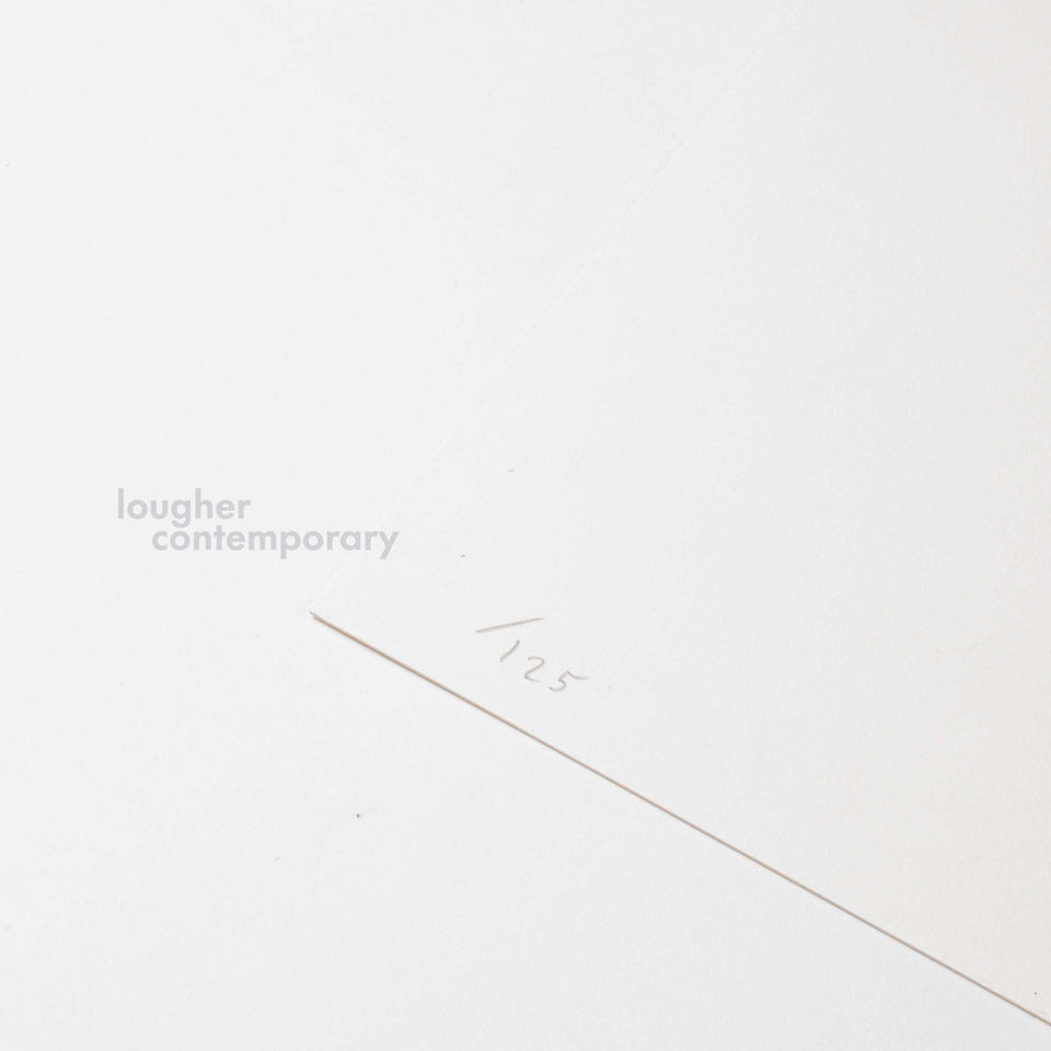 David Shrigley, I Will Retrieve Your Phone, 2021 - Lougher Contemporary